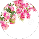 Sherry Dreher profile picture