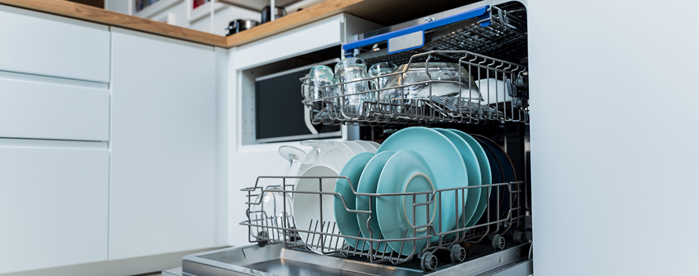 Dishwasher-Repair