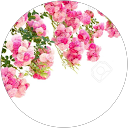Sherry Dreher profile picture